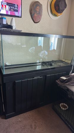 55 gallon tank with stand and new filter
