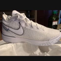 Zoom lebron NXXT gen.  Men’s Size 12