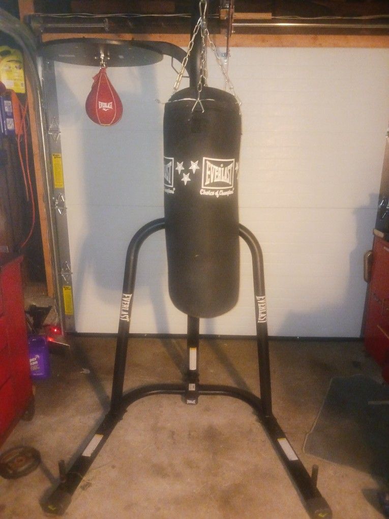 Everlast 2 Staion Dual Heavy Bag & Speed Bag Stand