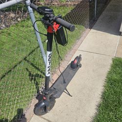 Gotrax G4 Scooter Adult Size