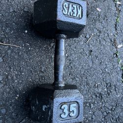 35 lbs Hex Dumbbell