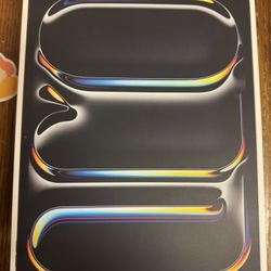 iPad Pro 13” (4M) - 512GB