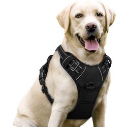 Rabbitgoo Dog Harness No Pull With 2 Leash Clips, Adjustable Soft Padded, Reflective Oxford No Choke