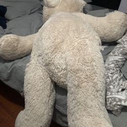 Big Teddy Bear 