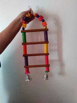 Bird ladder