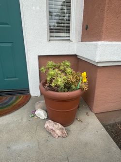 Planters - set of 2