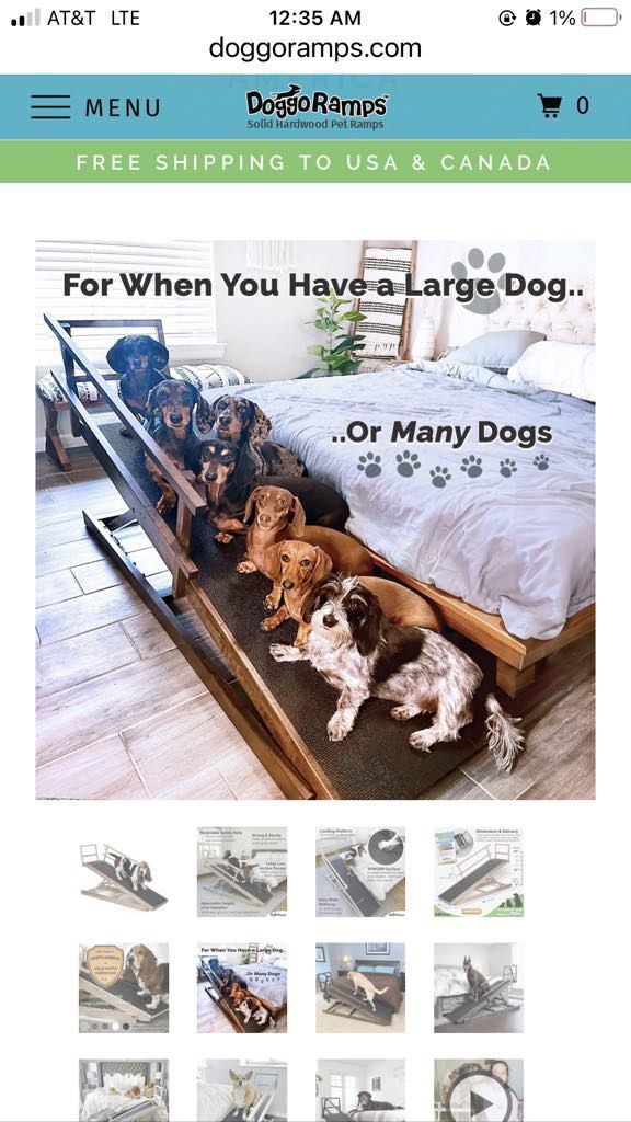 “Doggo Ramps” King Size Ramp 