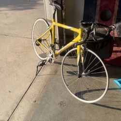 Giant Road Bike