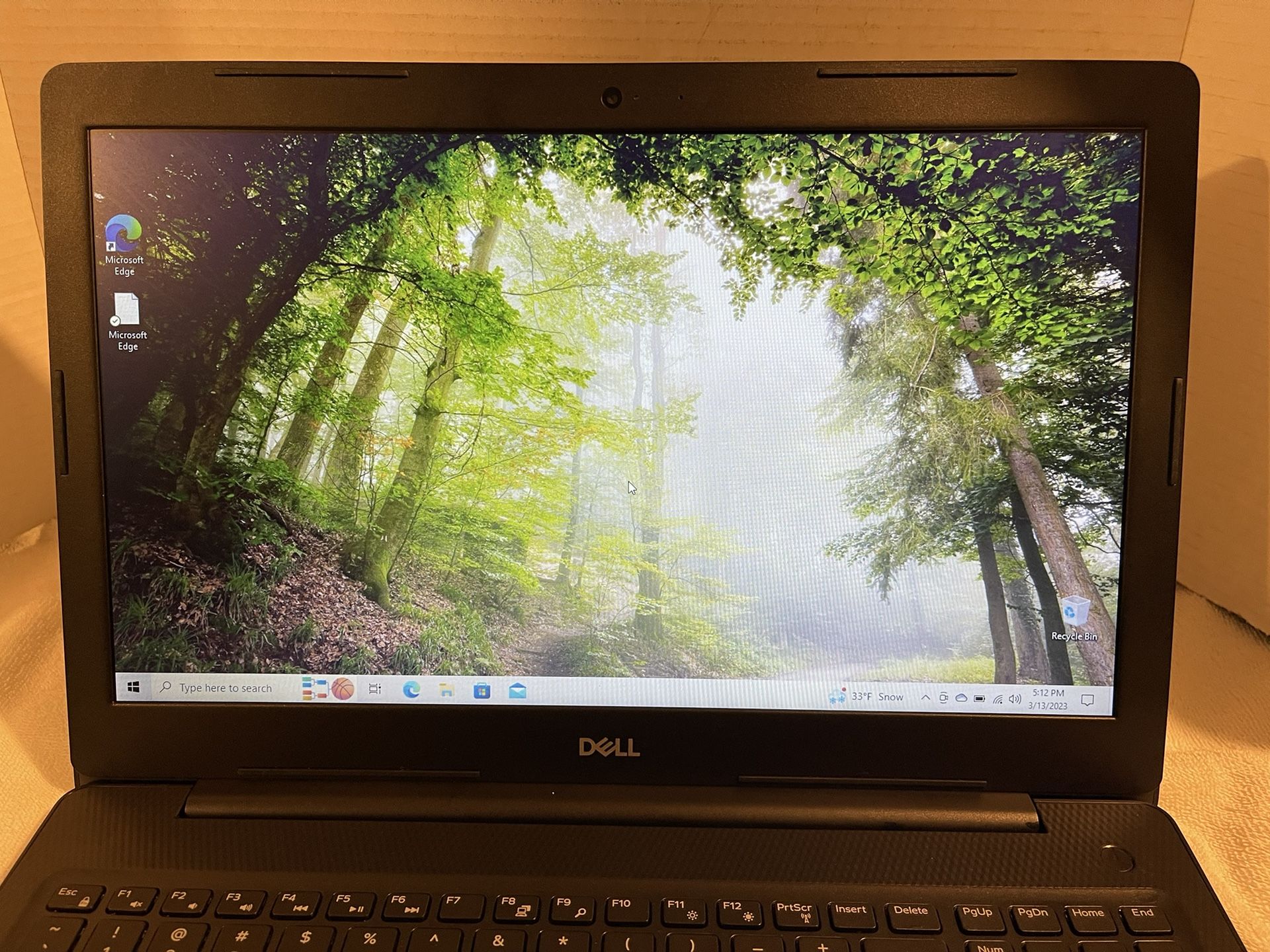 DELL INSPIRON 15 3000