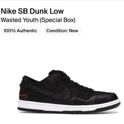 Nike SB Dunk Low Wasted Youth Size 8.5