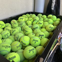 50 Tennis balls in great condition