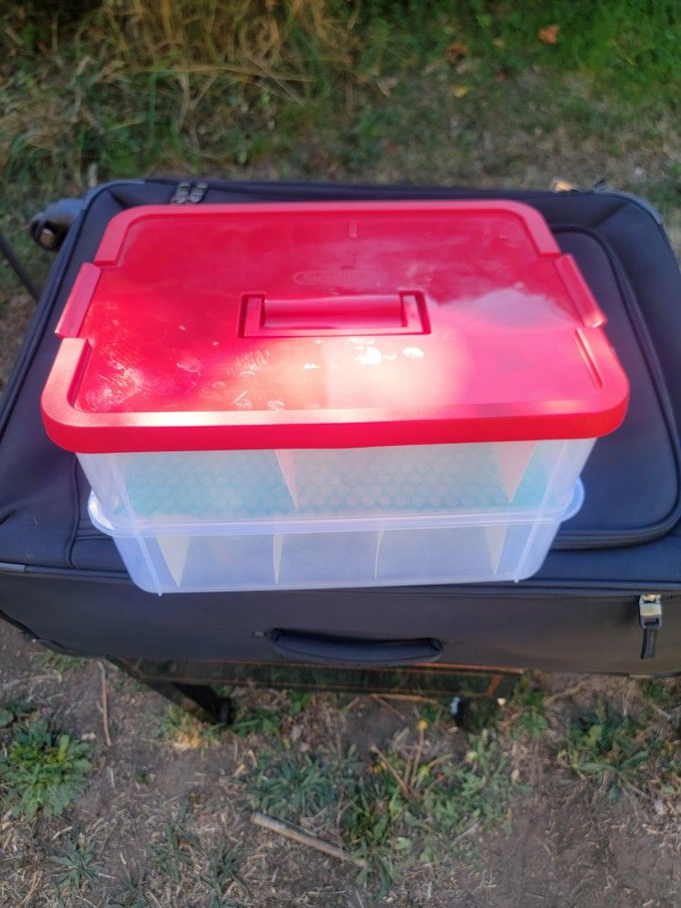 Sterilite Storage Box
