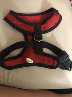Dog Harness