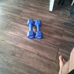 12 Pound Weights