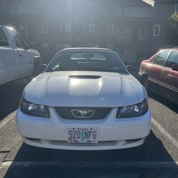 2000 Ford Mustang