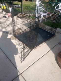 PET Crate