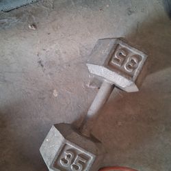 35 Pound Dumbell 