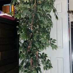 Fake Plant