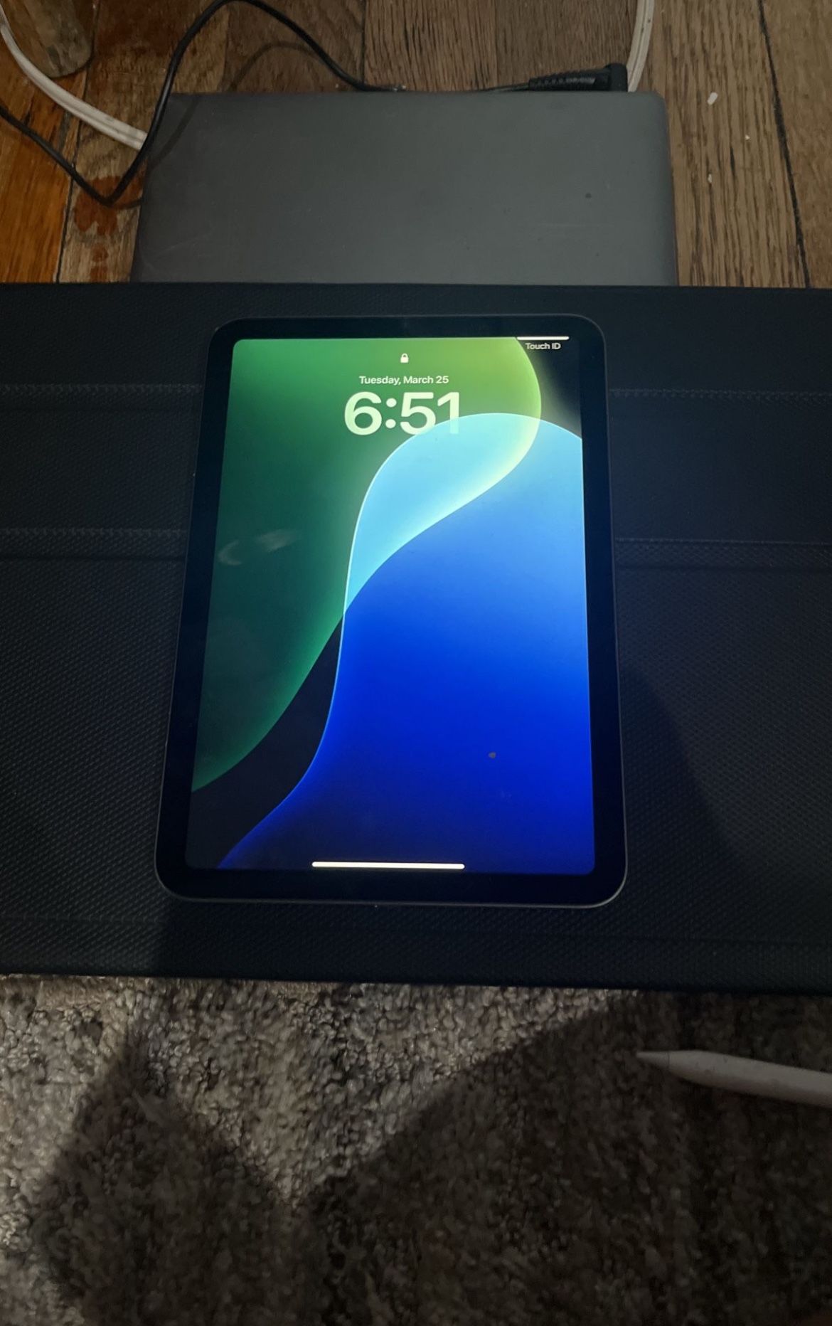 iPad Mini 256 Gigabytes 6th Gen