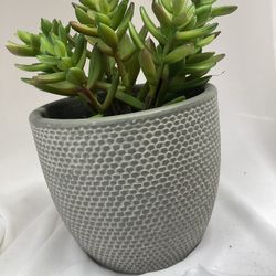 1299 Mini Suculent. Faux Plant With Nice Pot.