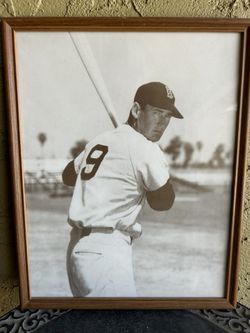 Ted Williams Photo Framed