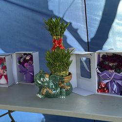  Valentine’s Day’ Arrangements 