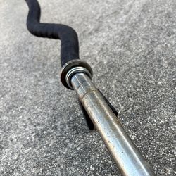 Curl Bar
