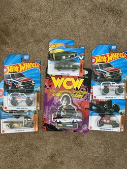 Raceing champions
