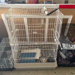 Rat Cages