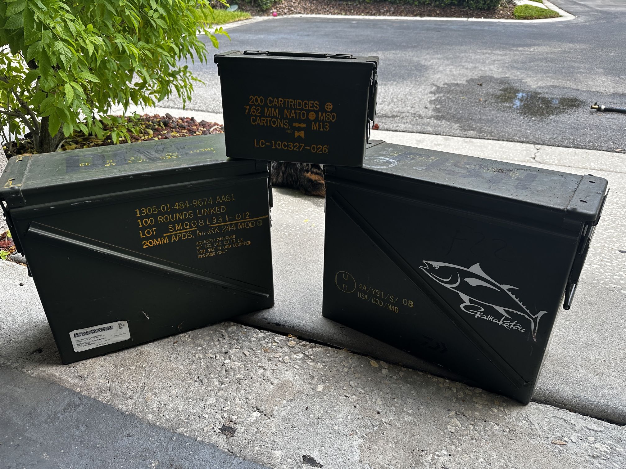 Ammo Cases - Storage