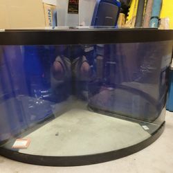 40 Gallon Corner Fish Tank With Accessories 
