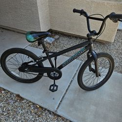 20" Schwinn Kid's Bike 