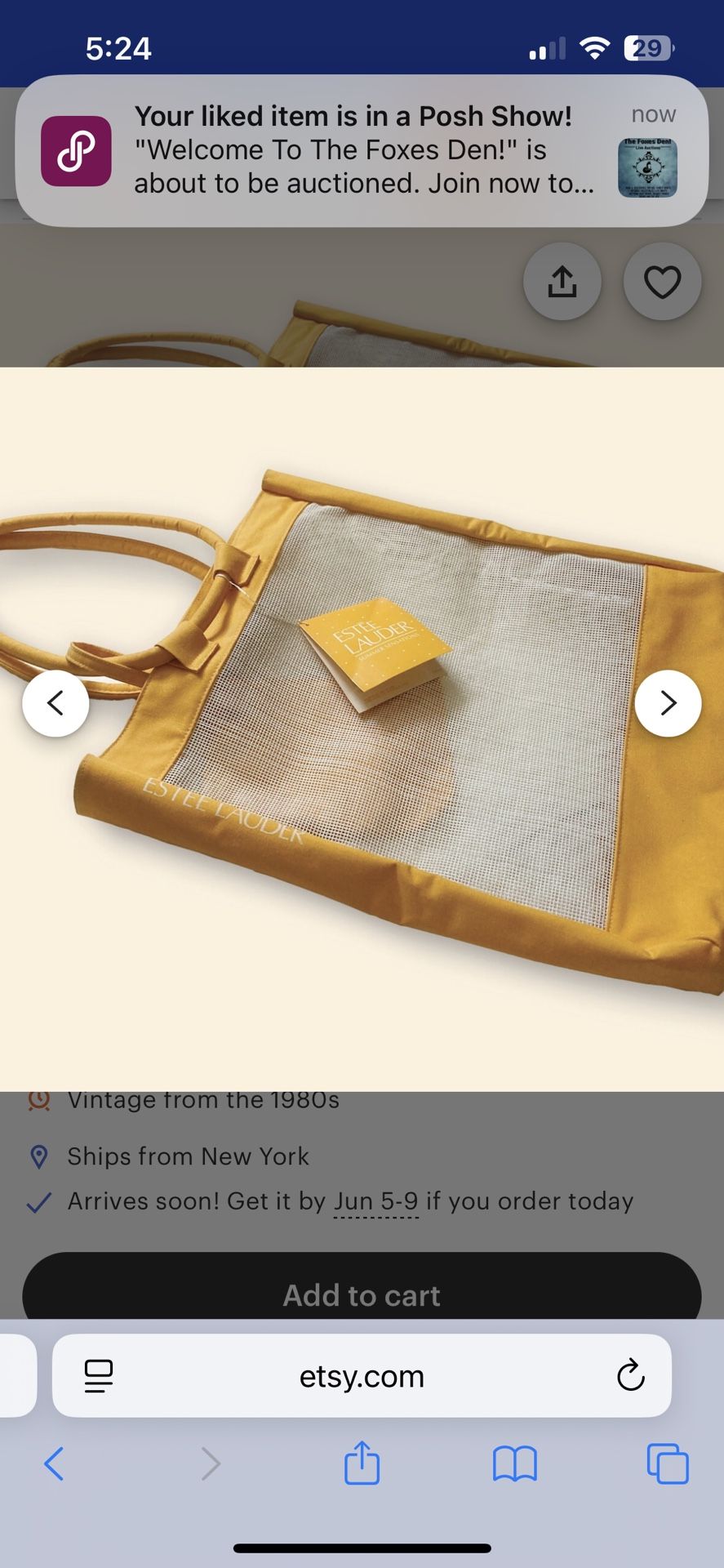 Estee Lauder Mesh Bag With Matching Wallet