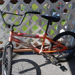Twenty Rock 24 Inch BIKE