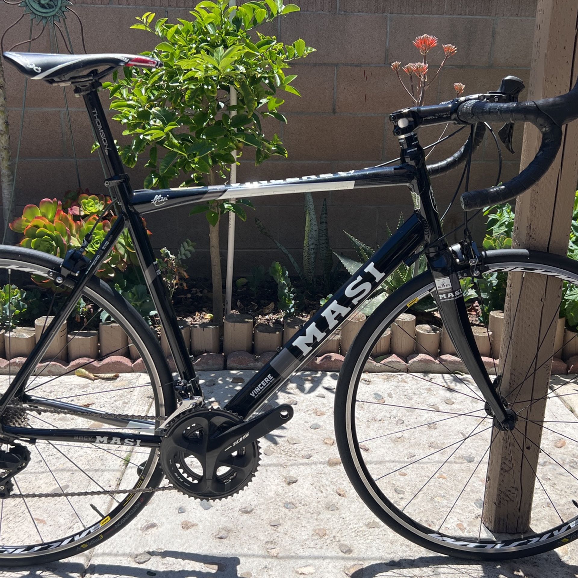 Masi Vincere Road Bike 56 for Sale in Santa Ana, CA - OfferUp