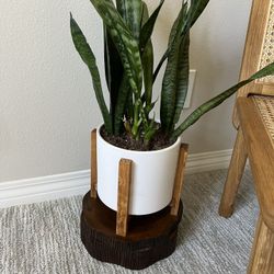 West Elm Wood Box - Decor 