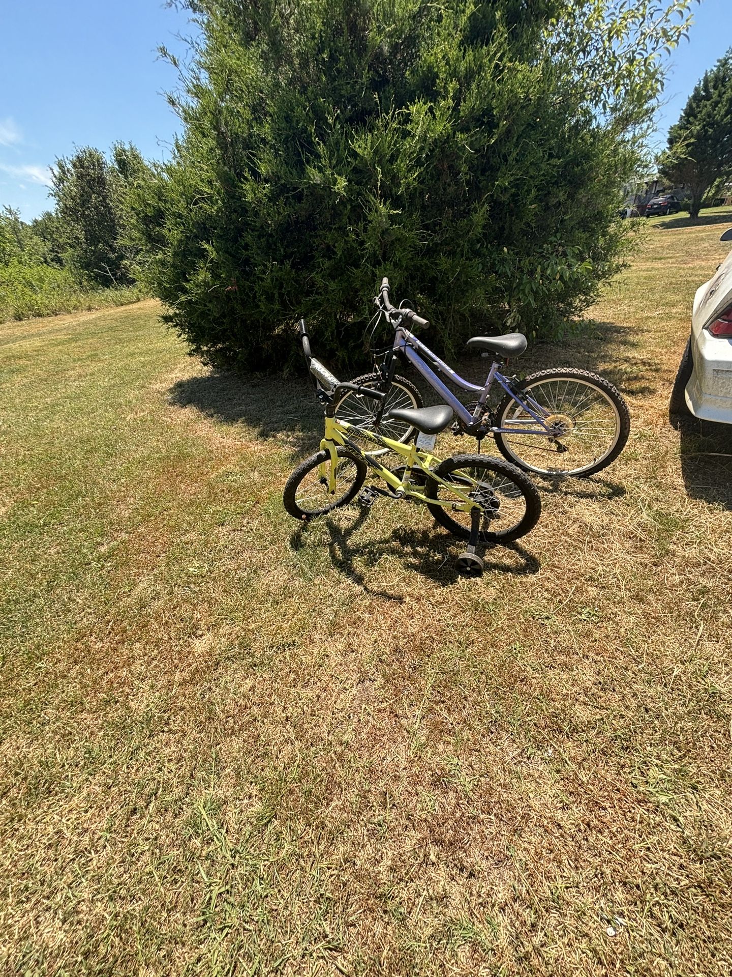 Boy Bike And Girl Bike