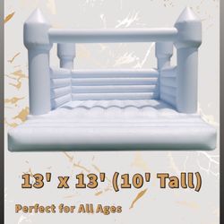 BABY BLUE ROYAL BOUNCE HOUSE 