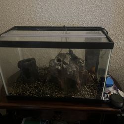 5 gallon aquarium