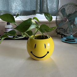 Happy Face Planter With Pothos 