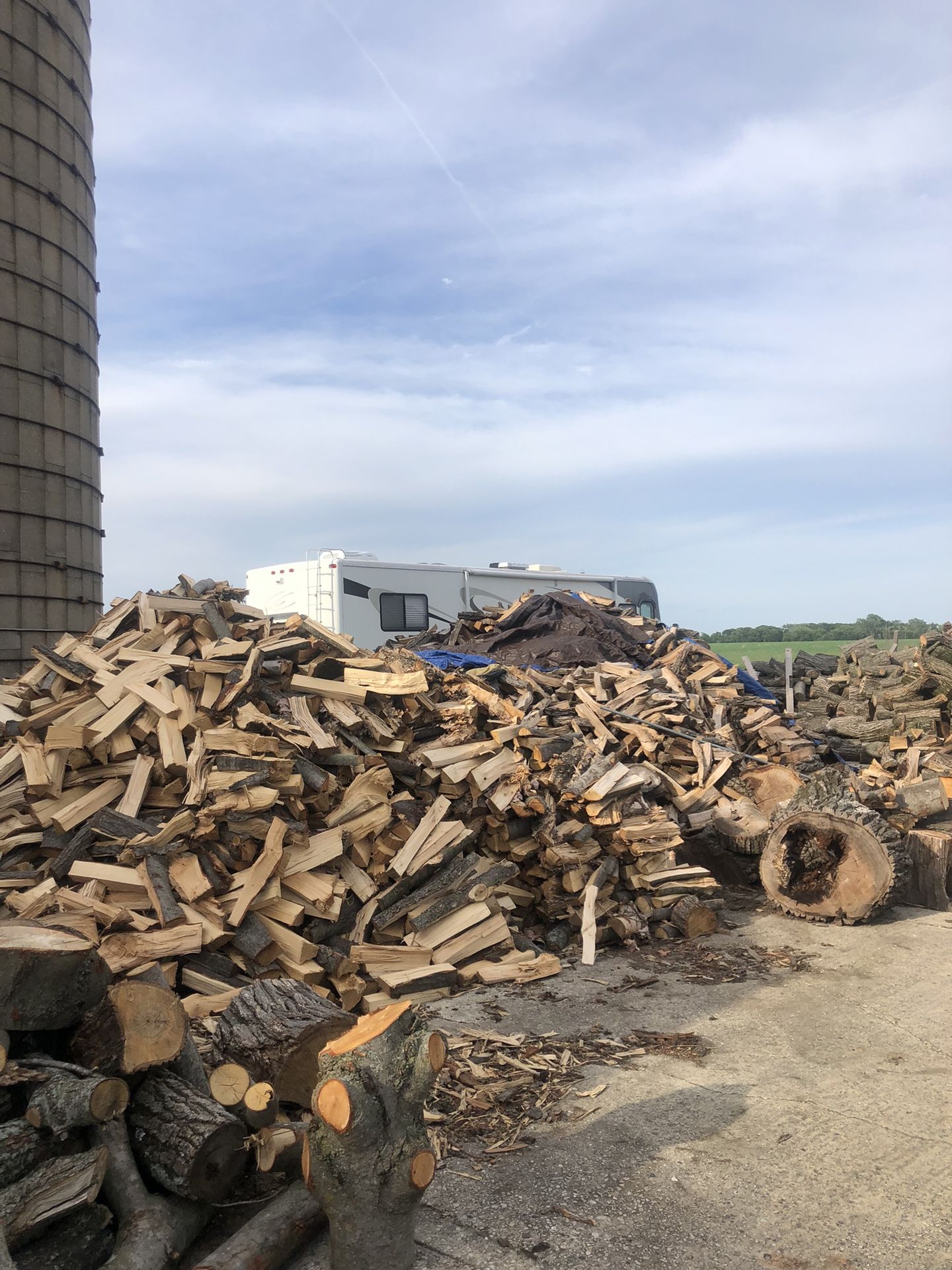 Firewood