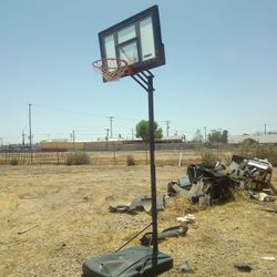 Lifetime Adjustable Portable Outdoor Basketball Hoop