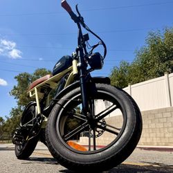 BEAR X6 DUAL BATTERY OFF-ROAD E-BIKE
