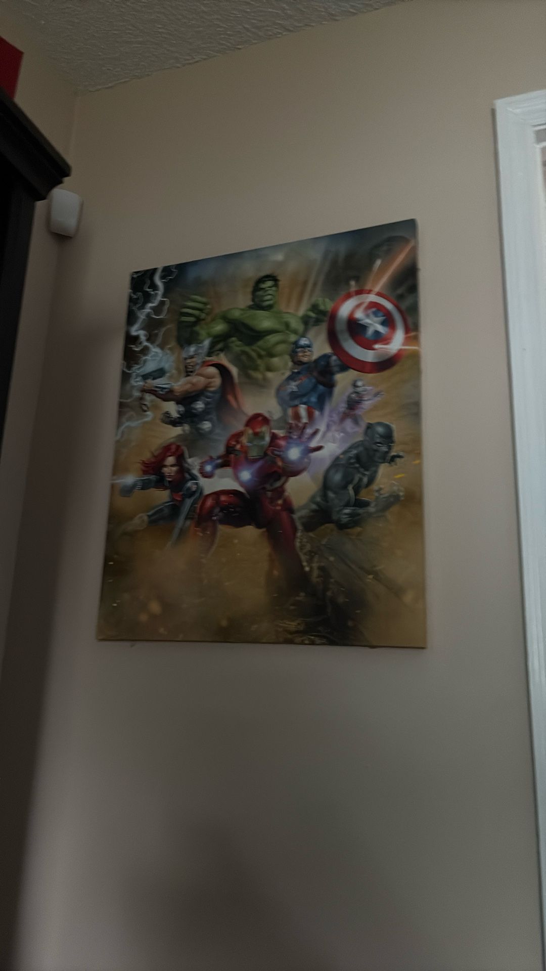 Avengers Vinyl Canvas Picture