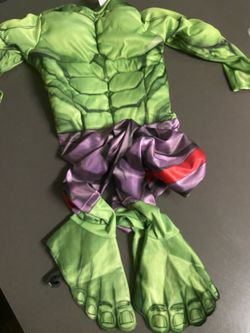 Costume hulk