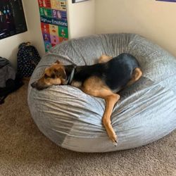 Giant Bean Bag Chair
