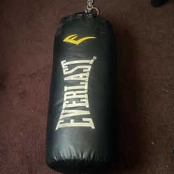 Everlast Punching Bag 