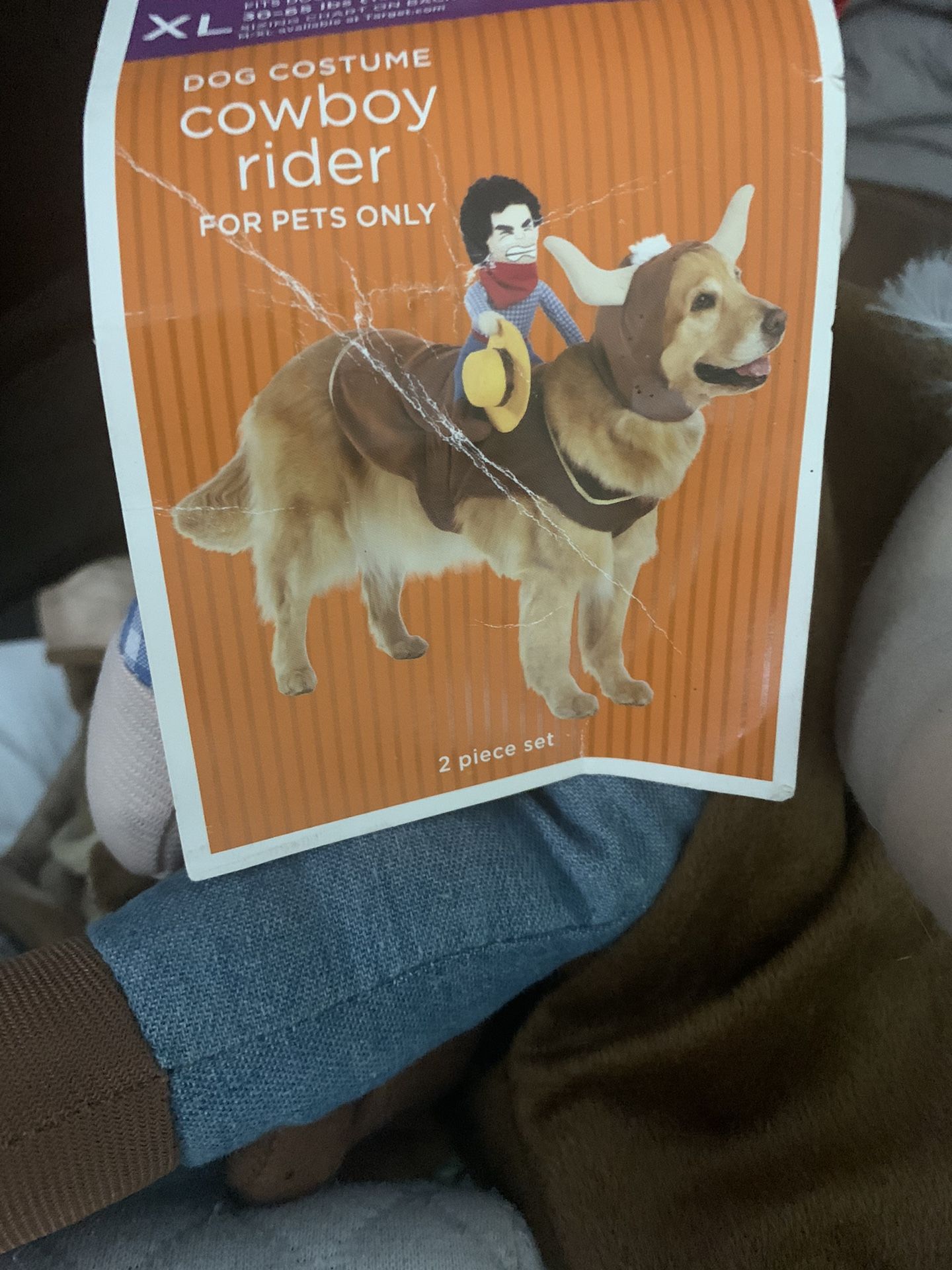 XL Cowboy Rider  Dog Costume For Pets  Halloween  Great Costume