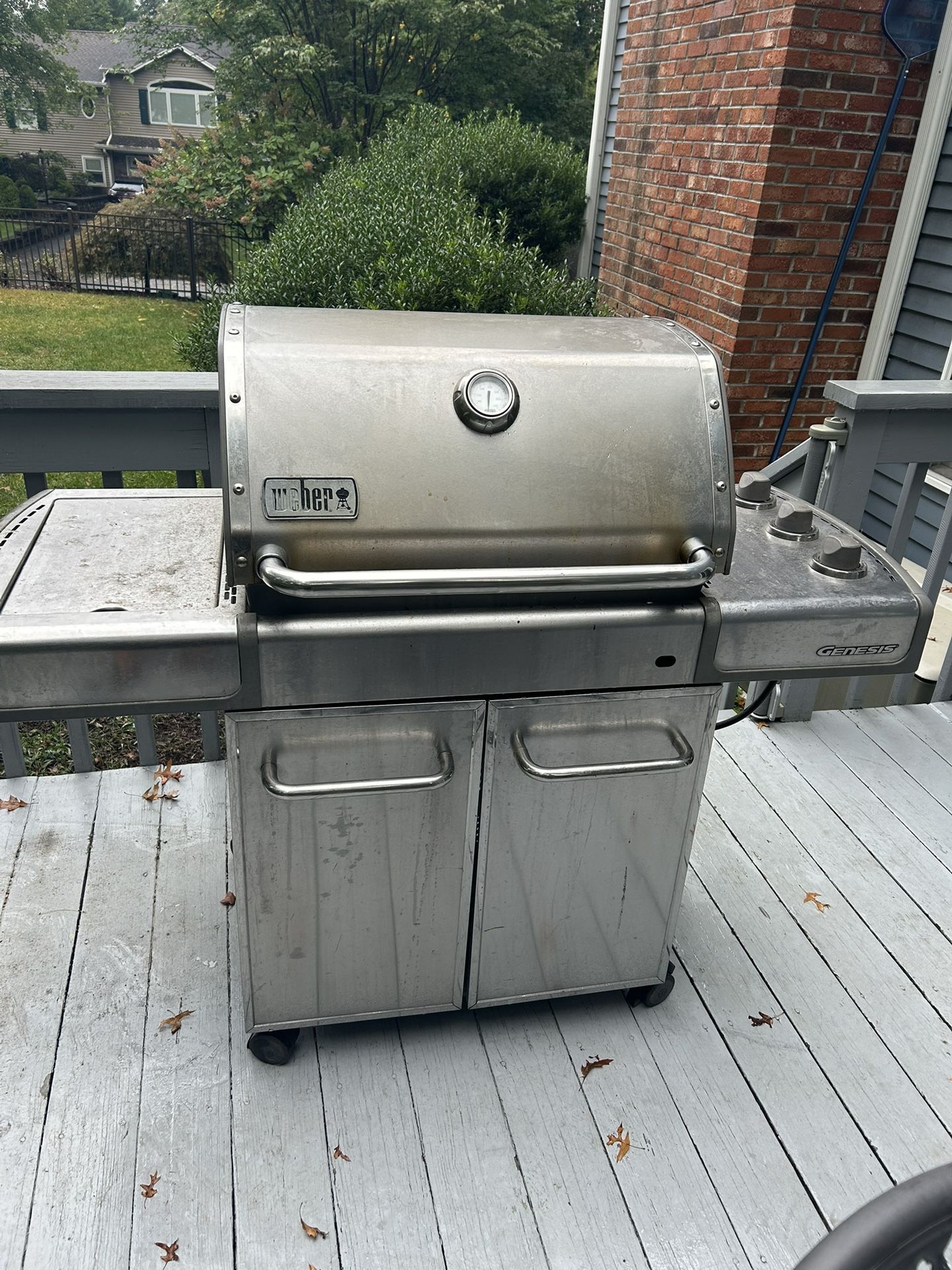 Weber Genesis