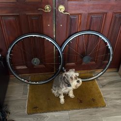 Shimano RS10 Wheelset & Cassette